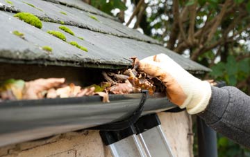 gutter cleaning Hamnish Clifford, Herefordshire